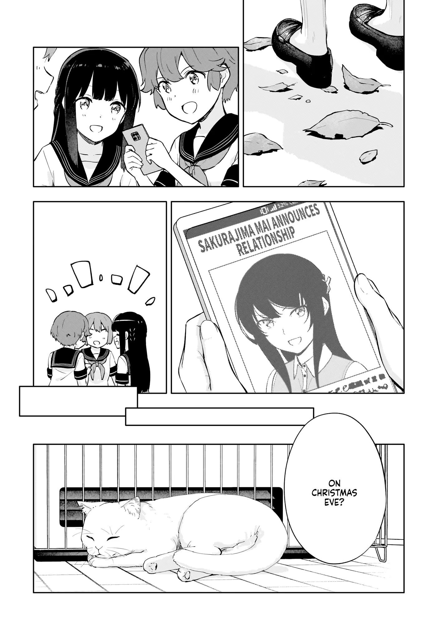 Seishun Buta Yarou Wa Yumemiru Shoujo No Yume Wo Minai - Vol.3 Chapter 15