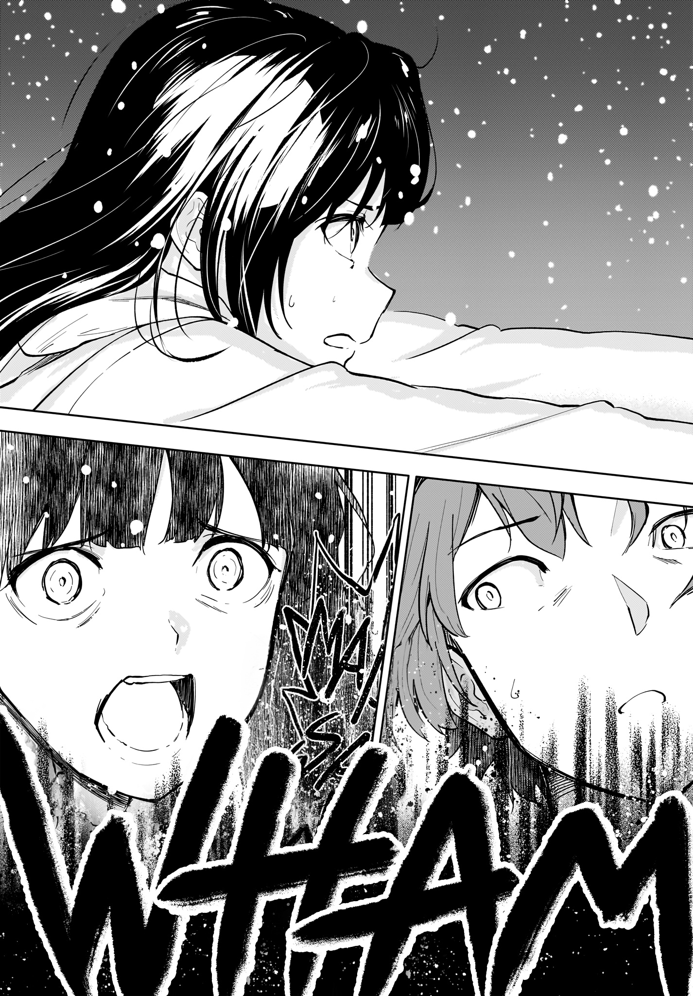 Seishun Buta Yarou Wa Yumemiru Shoujo No Yume Wo Minai - Chapter 10.2