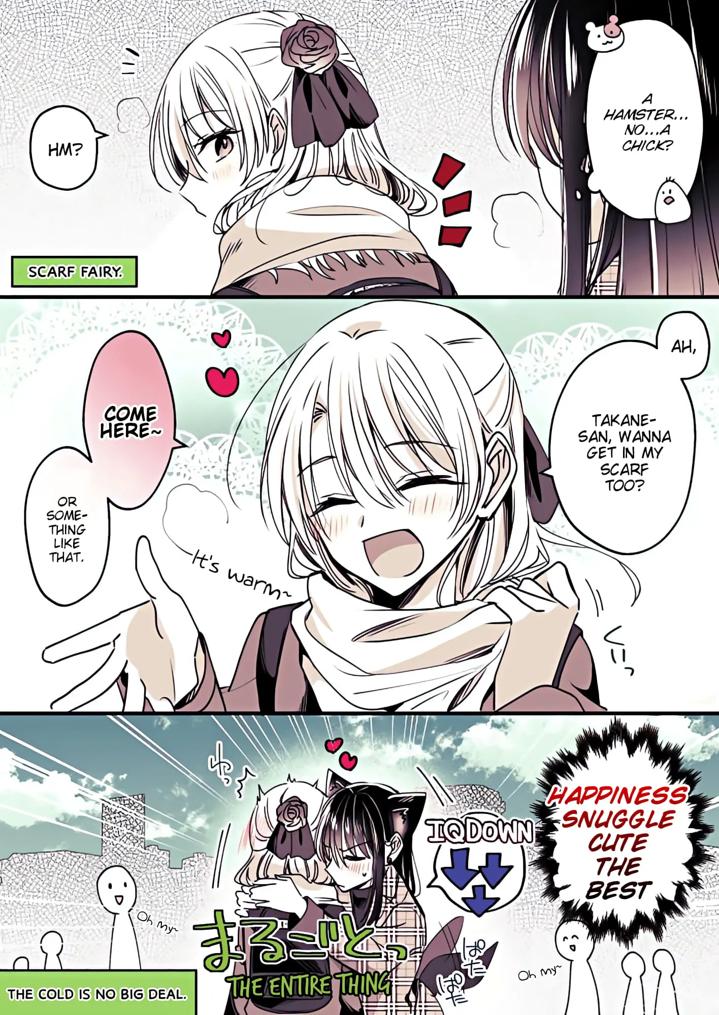 Takane-San And Arashi-Chan - Chapter 13: Matome/Compilation (Pg 241-255)