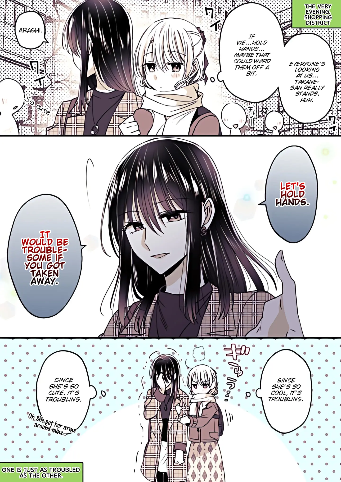 Takane-San And Arashi-Chan - Chapter 13: Matome/Compilation (Pg 241-255)