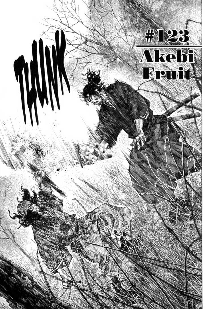 Vagabond - Vol.13 Chapter 123 : Akebi Fruit