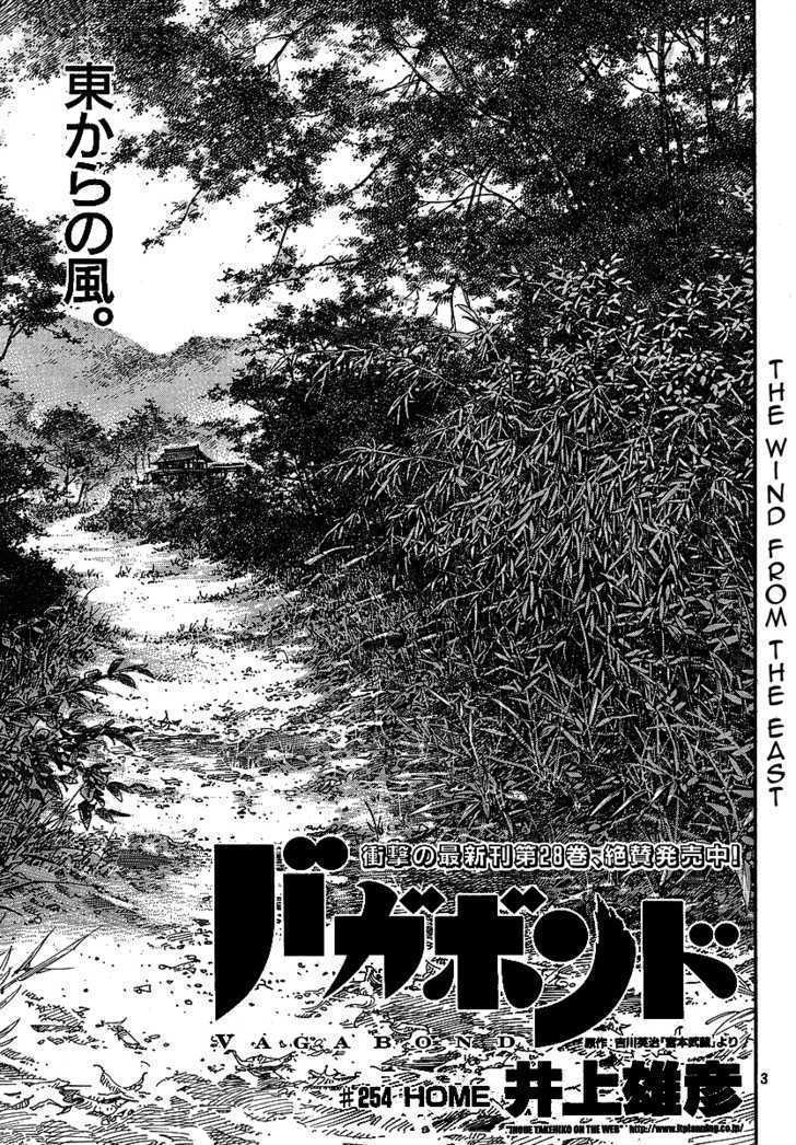 Vagabond - Vol.29 Chapter 254 : Home