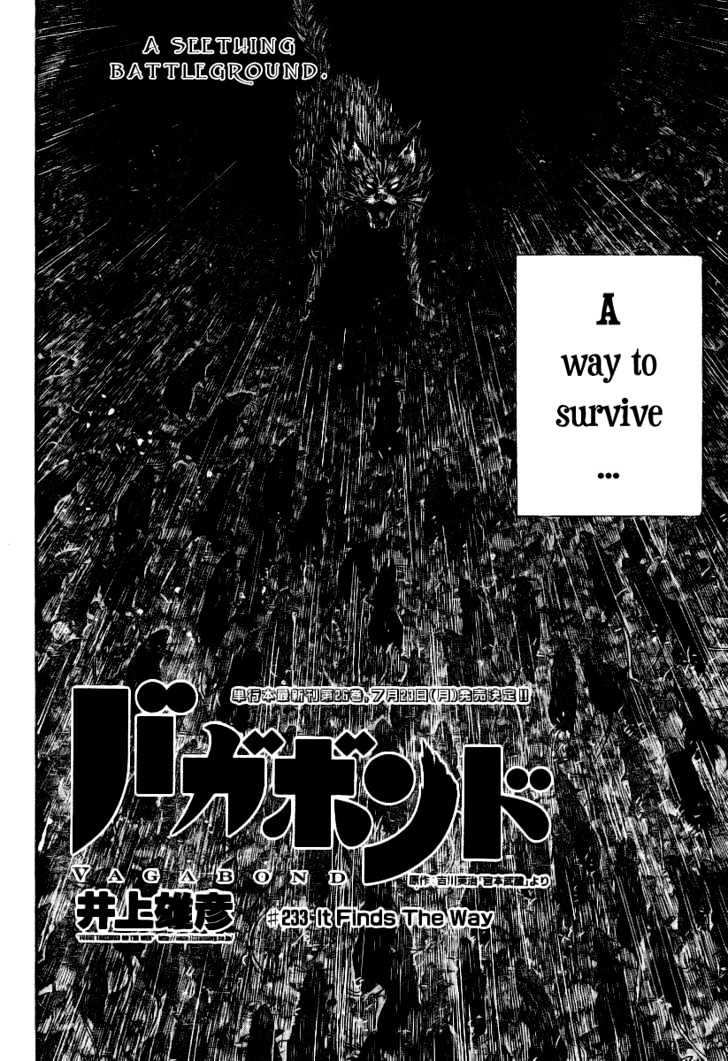 Vagabond - Vol.26 Chapter 233 : It Finds The Way