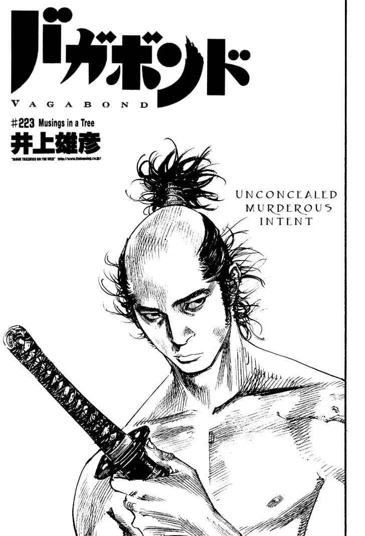 Vagabond - Vol.25 Chapter 223 : From The Treetop