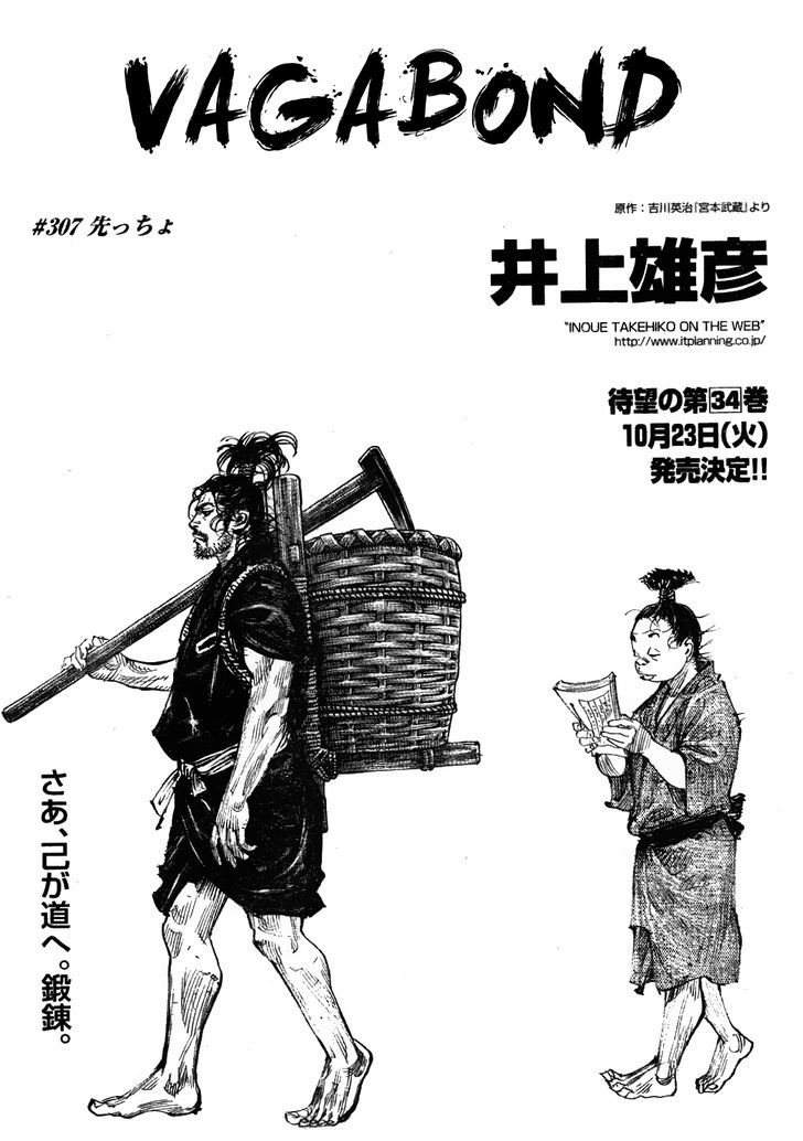 Vagabond - Vol.35 Chapter 307 : The Tip