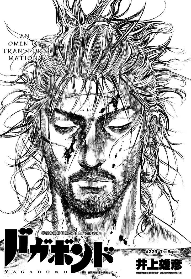 Vagabond - Vol.26 Chapter 229 : The Rapids