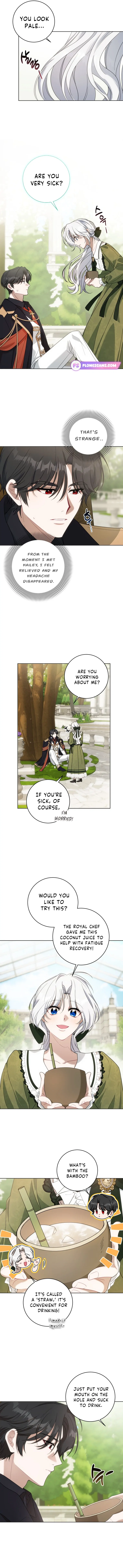 The Obsessive Emperor’s Capable Pharmacist - Chapter 23