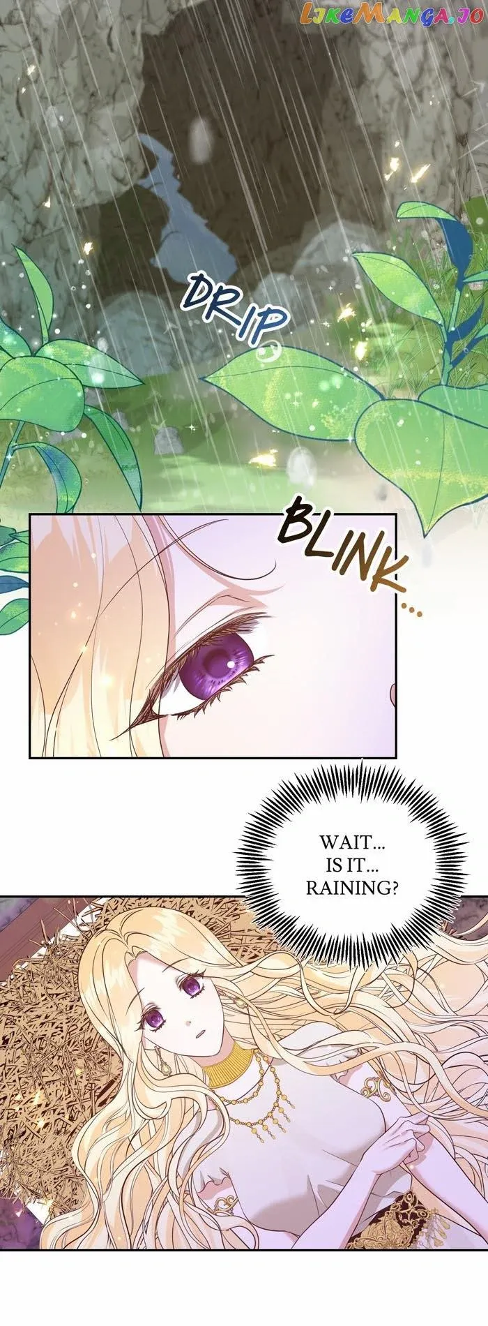 Insanely Radiant - Chapter 12