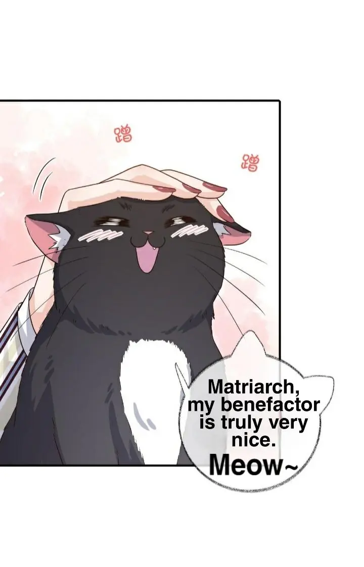 Pay Me Back, Mr. Cat - Chapter 21