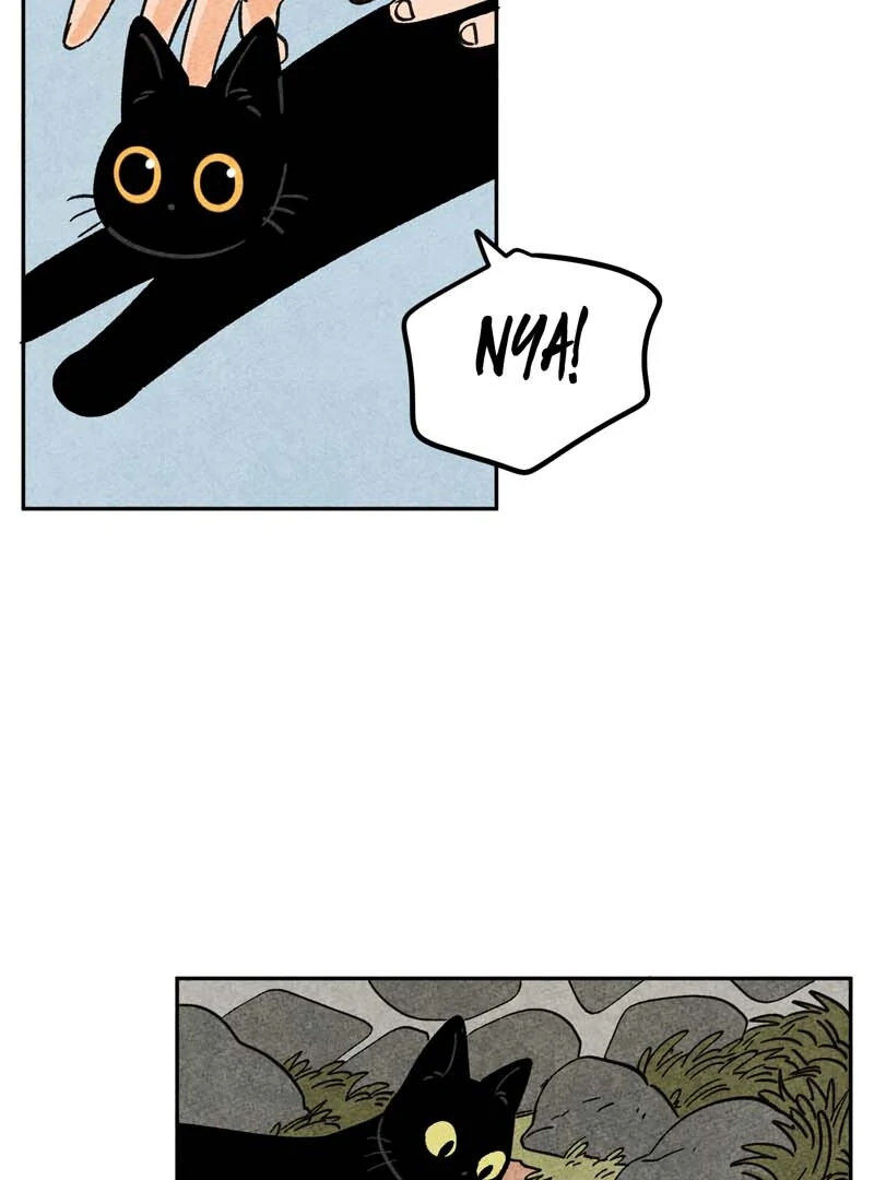 The Tale Of Goldiluck, The Black Kitten - Chapter 110