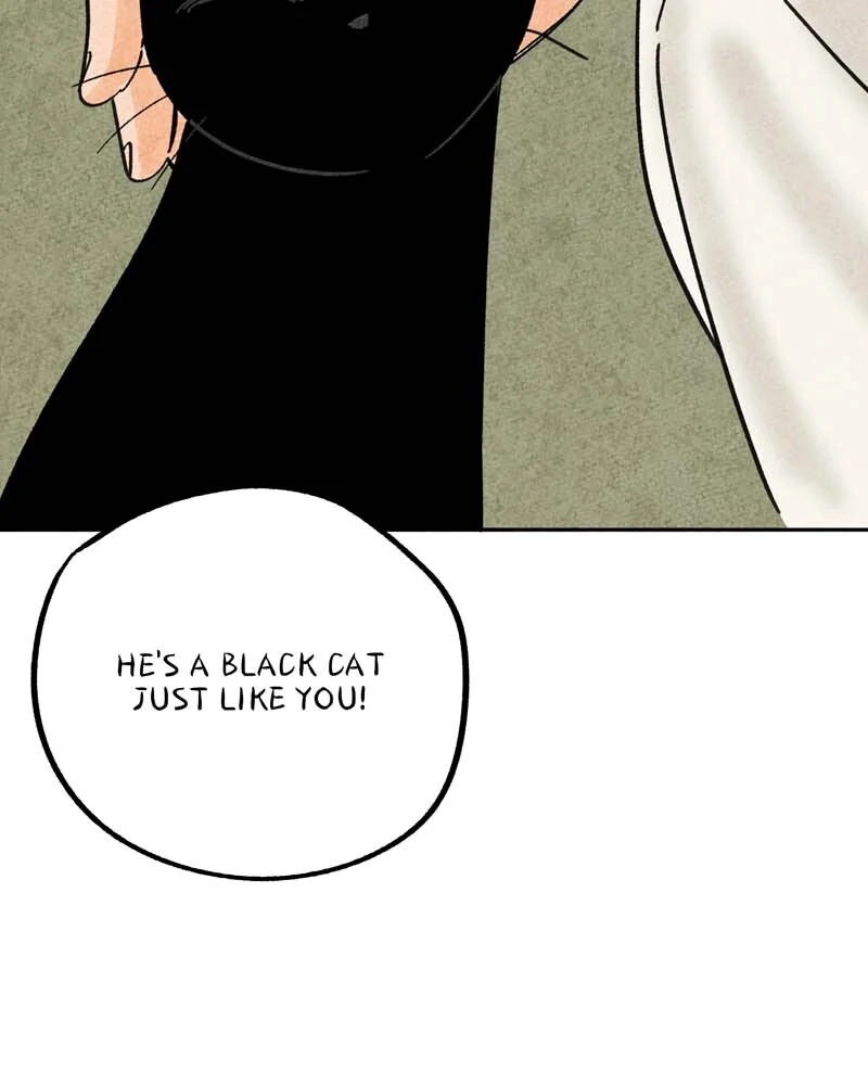 The Tale Of Goldiluck, The Black Kitten - Chapter 109