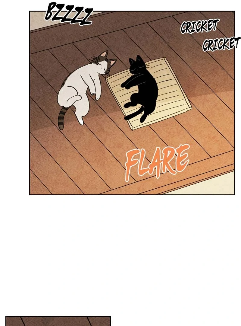 The Tale Of Goldiluck, The Black Kitten - Chapter 104