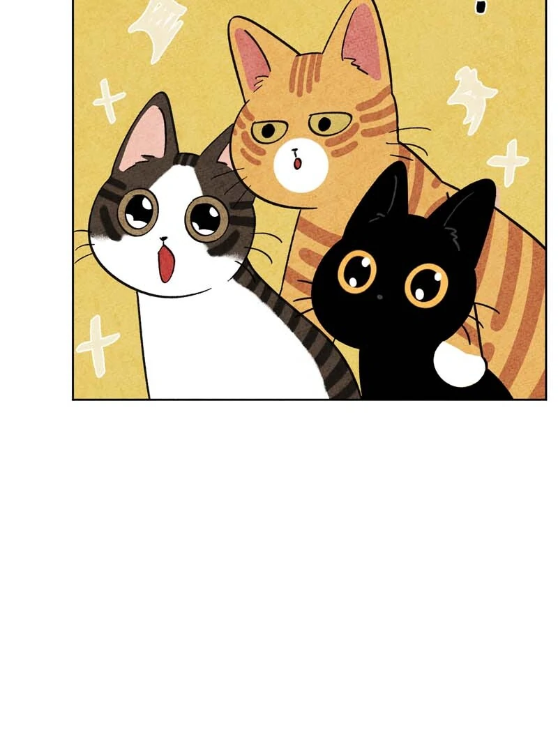 The Tale Of Goldiluck, The Black Kitten - Chapter 104