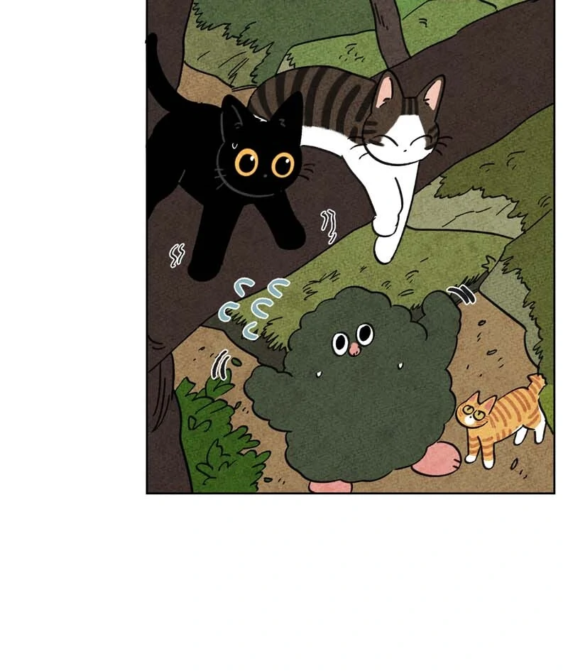 The Tale Of Goldiluck, The Black Kitten - Chapter 104