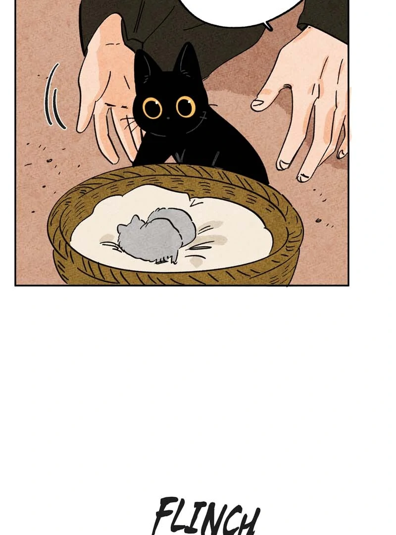 The Tale Of Goldiluck, The Black Kitten - Chapter 106