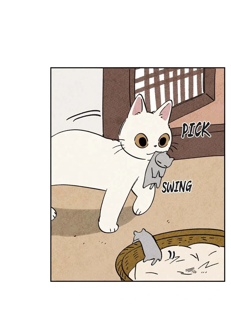 The Tale Of Goldiluck, The Black Kitten - Chapter 106