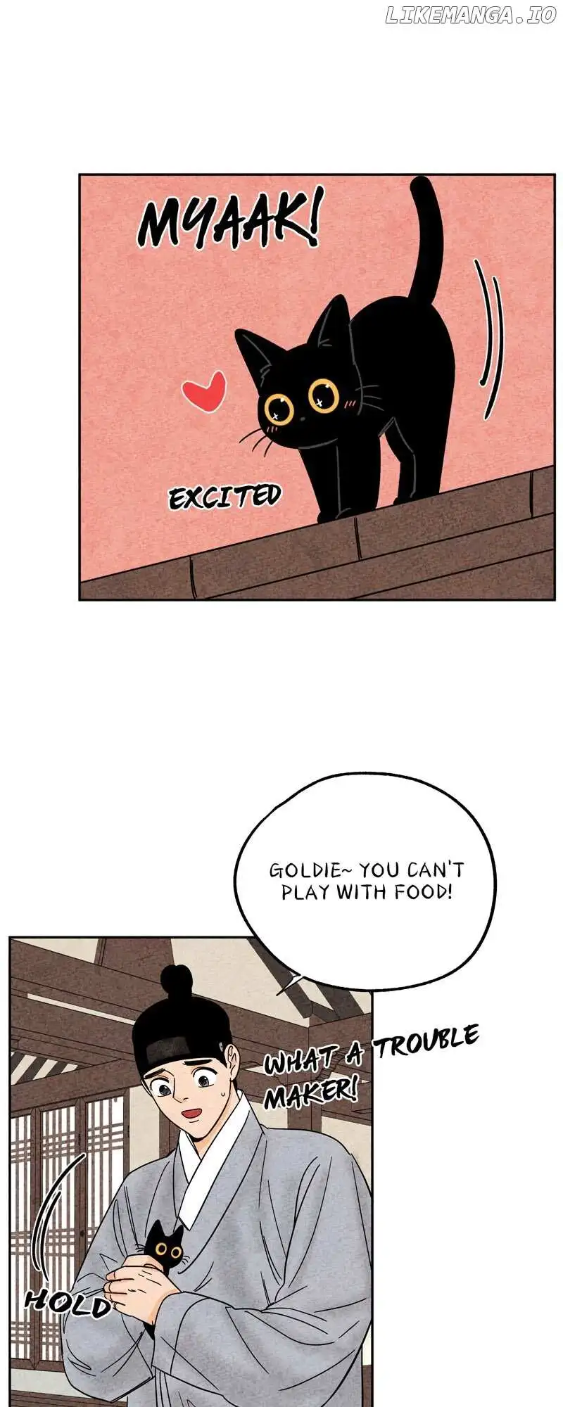 The Tale Of Goldiluck, The Black Kitten - Chapter 75