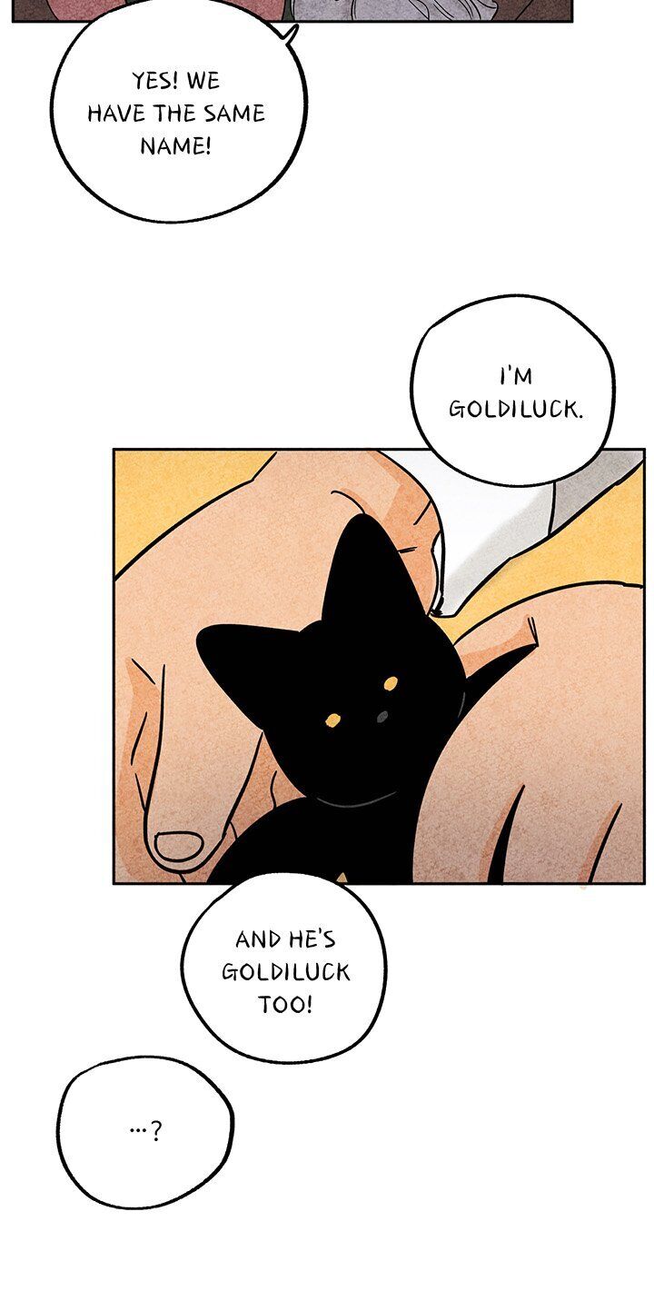 The Tale Of Goldiluck, The Black Kitten - Chapter 35