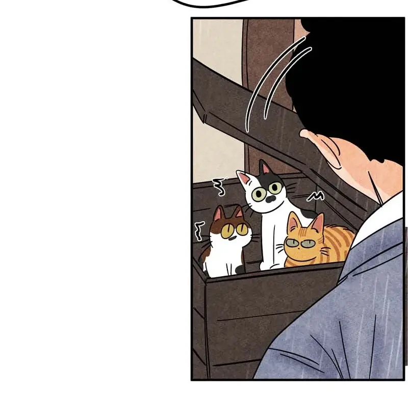 The Tale Of Goldiluck, The Black Kitten - Chapter 92