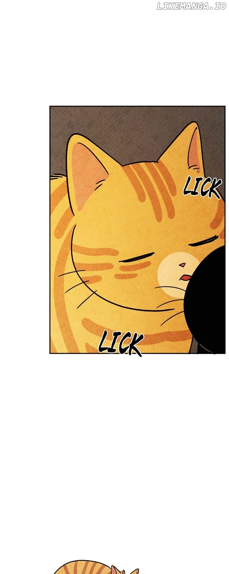 The Tale Of Goldiluck, The Black Kitten - Chapter 96