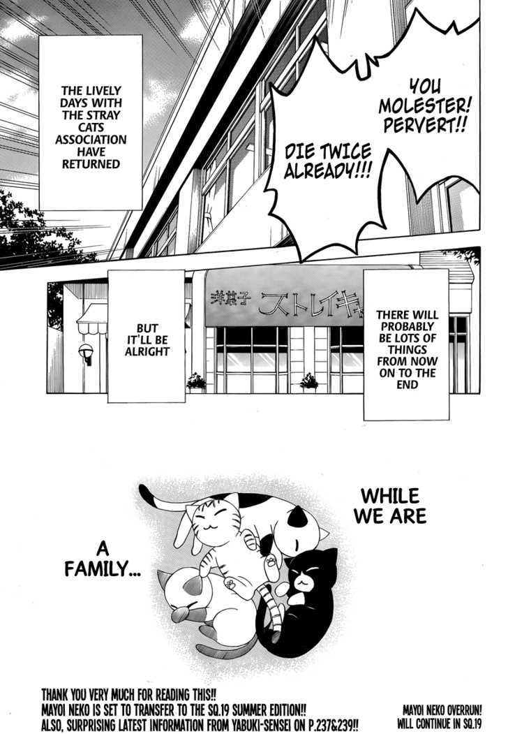 Mayoi Neko Overrun! - Vol.2 Chapter 8 : Cake And Smile And Finale