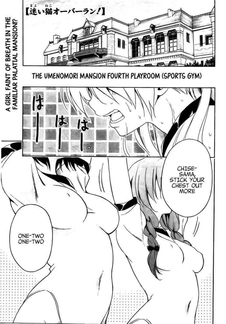 Mayoi Neko Overrun! - Vol.3 Chapter 9 : The Maid S Splendid Daily Routine