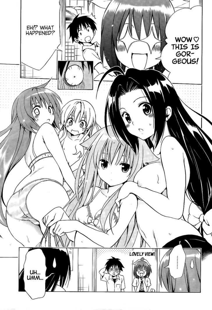 Mayoi Neko Overrun! - Vol.1 Chapter 4 : And The Name Is The Stray Cats Associaton