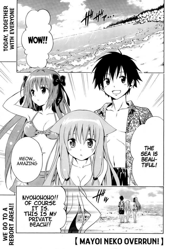 Mayoi Neko Overrun! - Vol.2 Chapter 5 : Swimsuits And The First Kiss