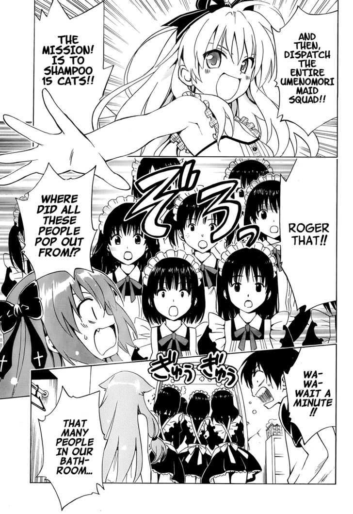 Mayoi Neko Overrun! - Vol.2 Chapter 7 : Public Bath X Battle!?