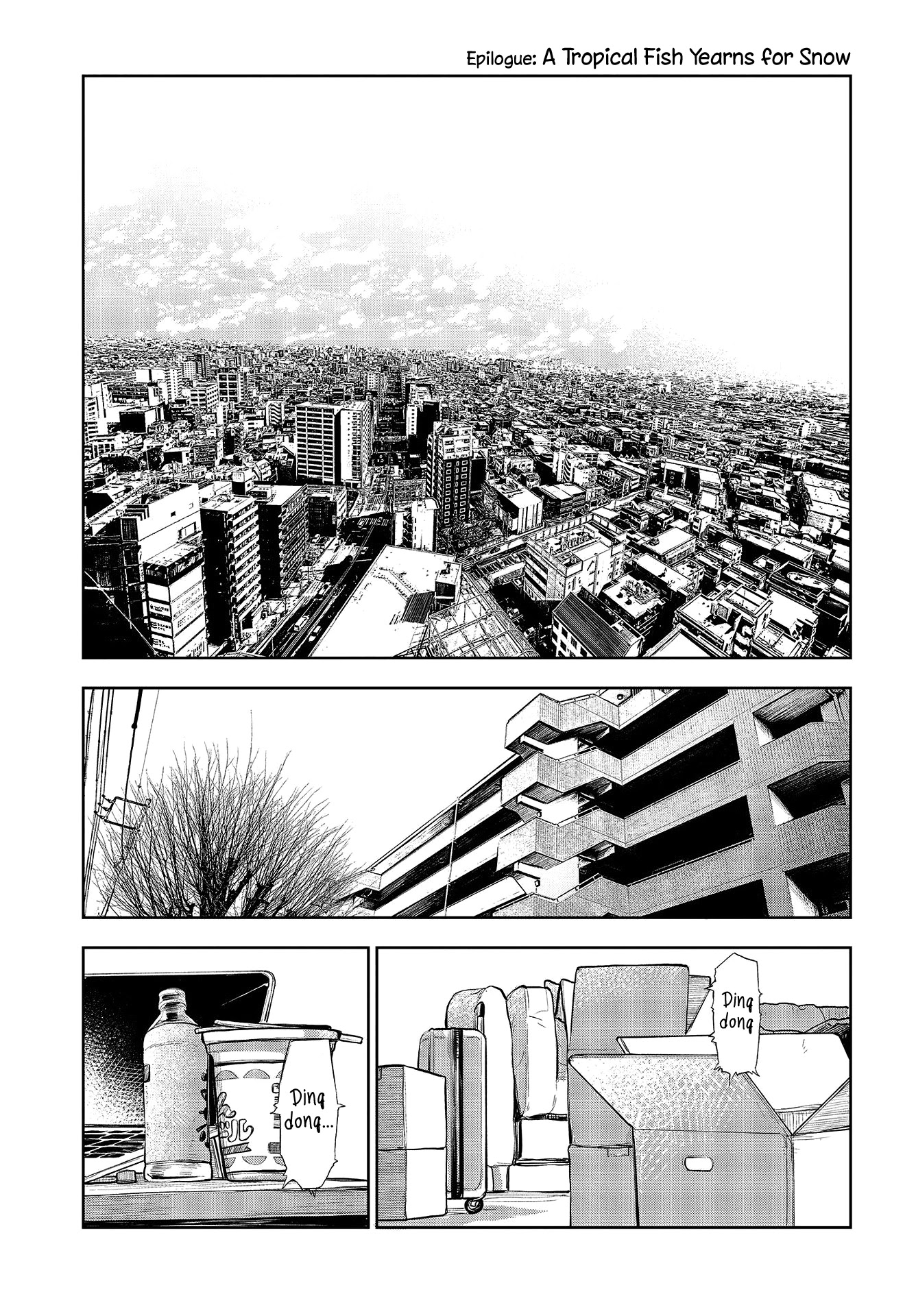 Nettaigyo Wa Yuki Ni Kogareru - Chapter 34: Epilogue: A Tropical Fish Yearns For Snow [End]