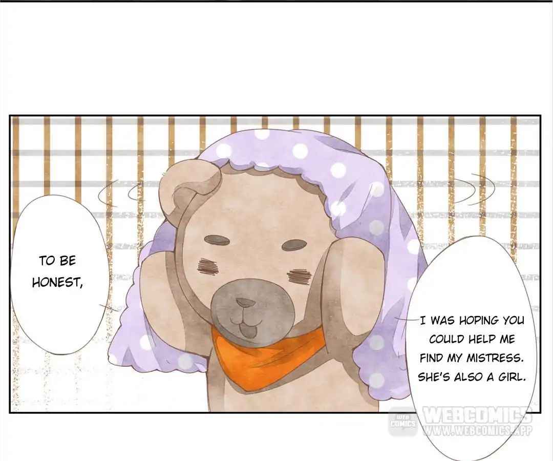 About Teddy Bear - Chapter 3: Memories