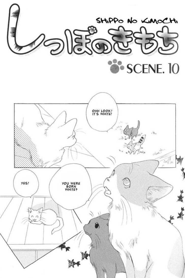 Shippo No Kimochi - Vol.1 Chapter 10