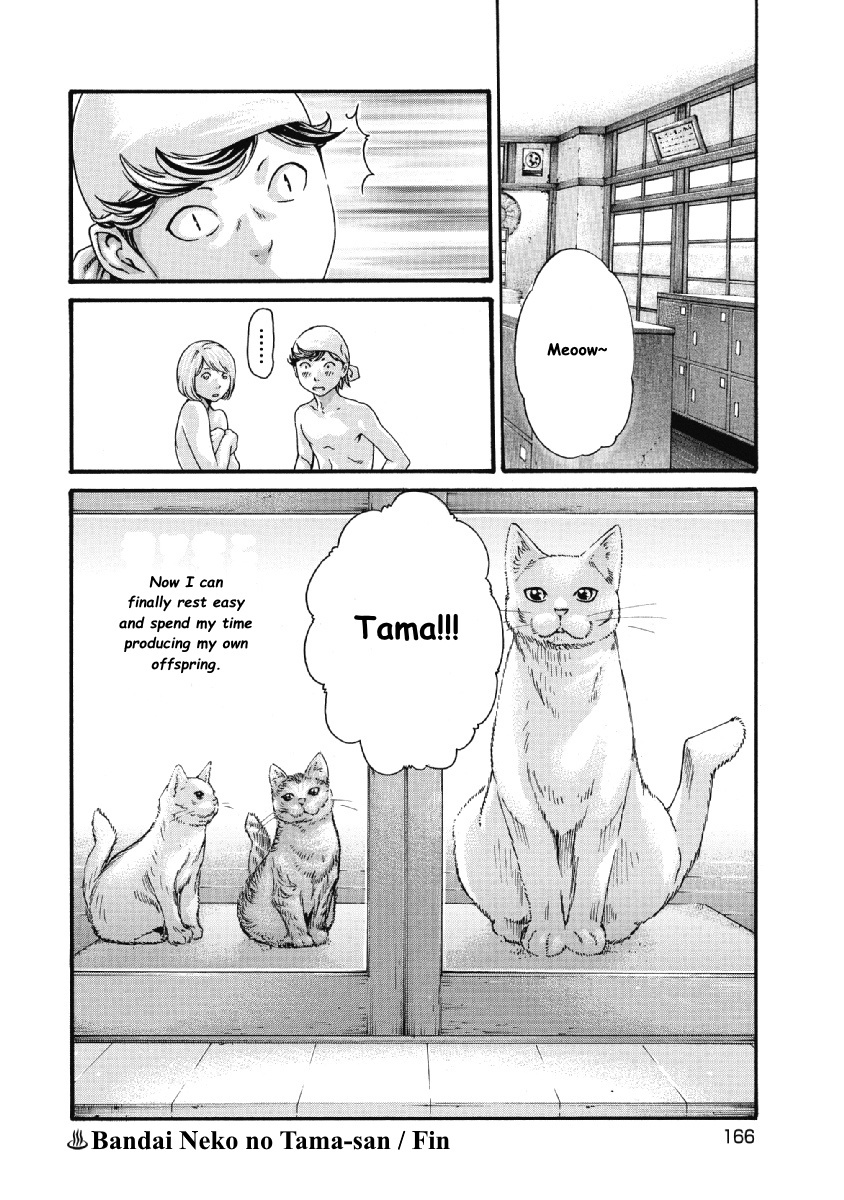 Bandai Neko No Tama-San - Vol.1 Chapter 19: 19Th Bath