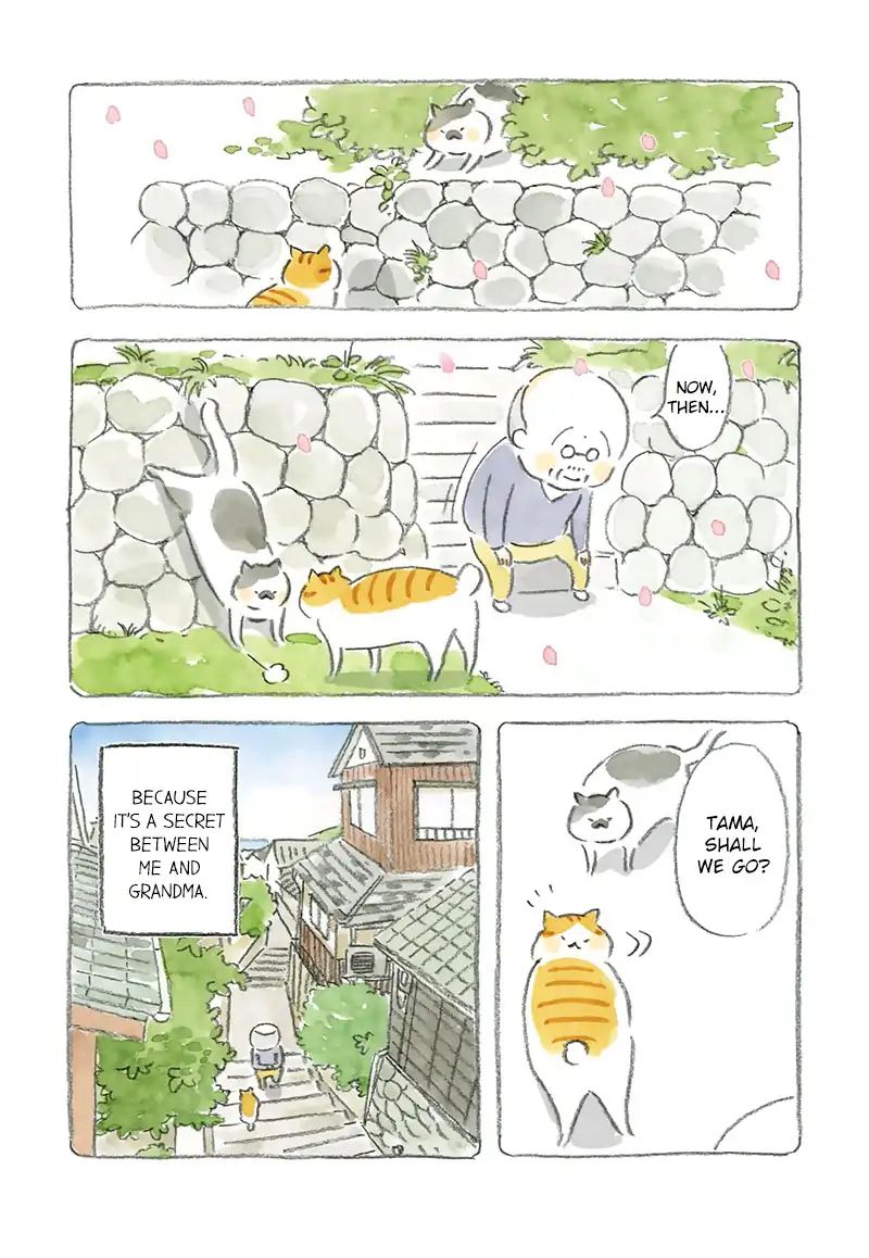 Cat And Grandpa - Vol.1 Chapter 2: I Am Tama