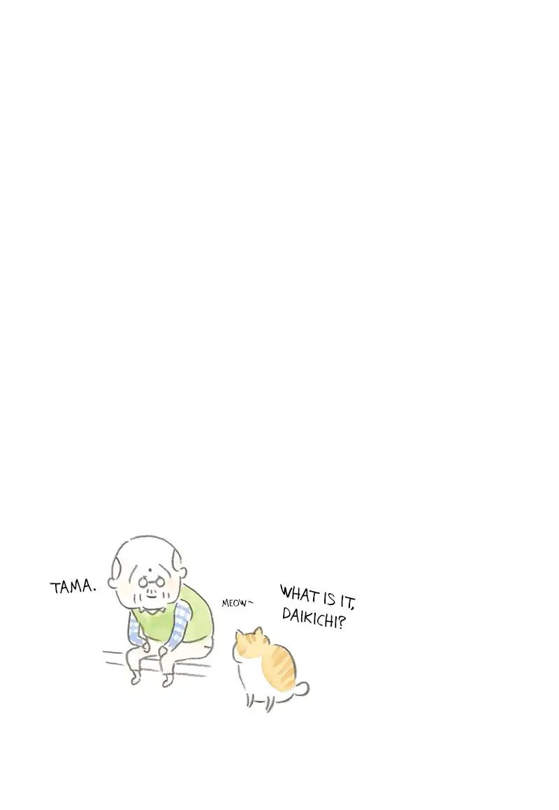 Cat And Grandpa - Vol.1 Chapter 2: I Am Tama