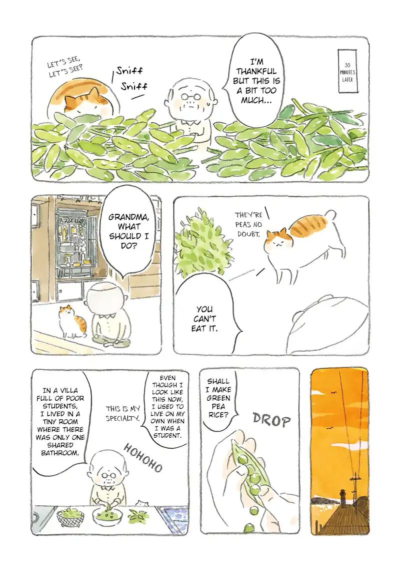 Cat And Grandpa - Vol.1 Chapter 3: Green Pea Rice