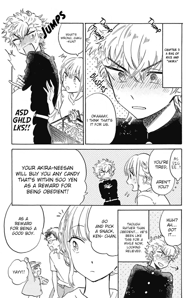 This Delinquent-Kun Is Ungrateful - Chapter 3: A Bag Of Rice And "Akira"