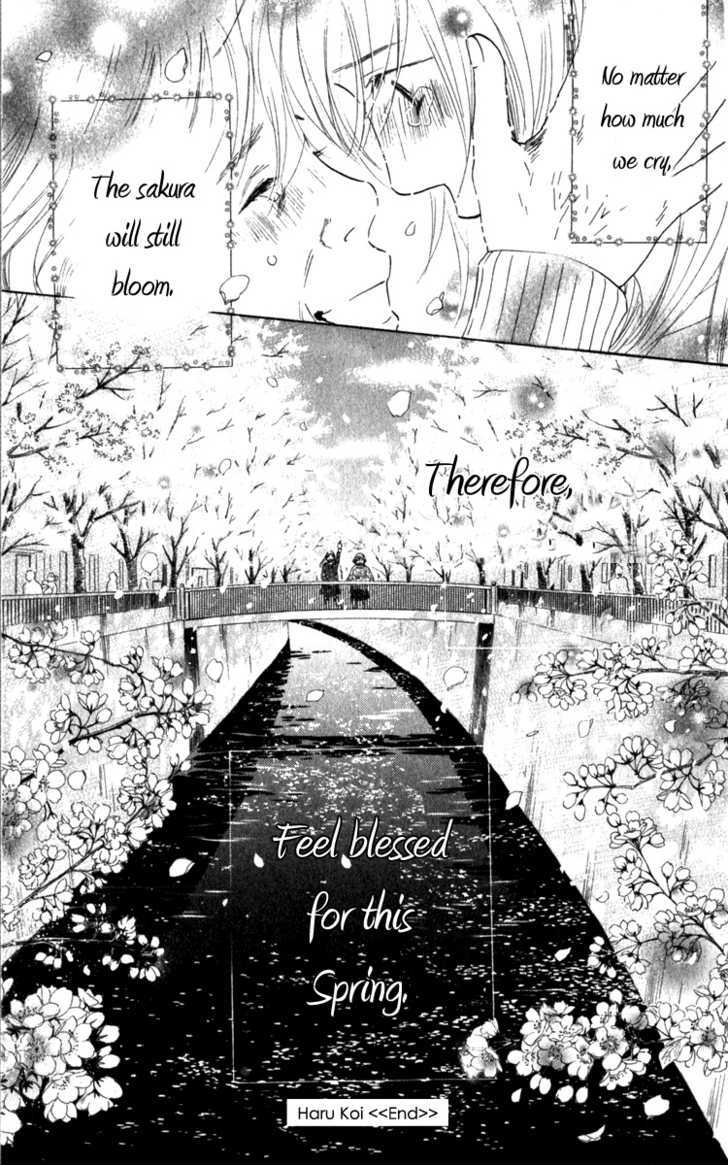 Haru Koi - Vol.1 Chapter 1 : Haru Koi