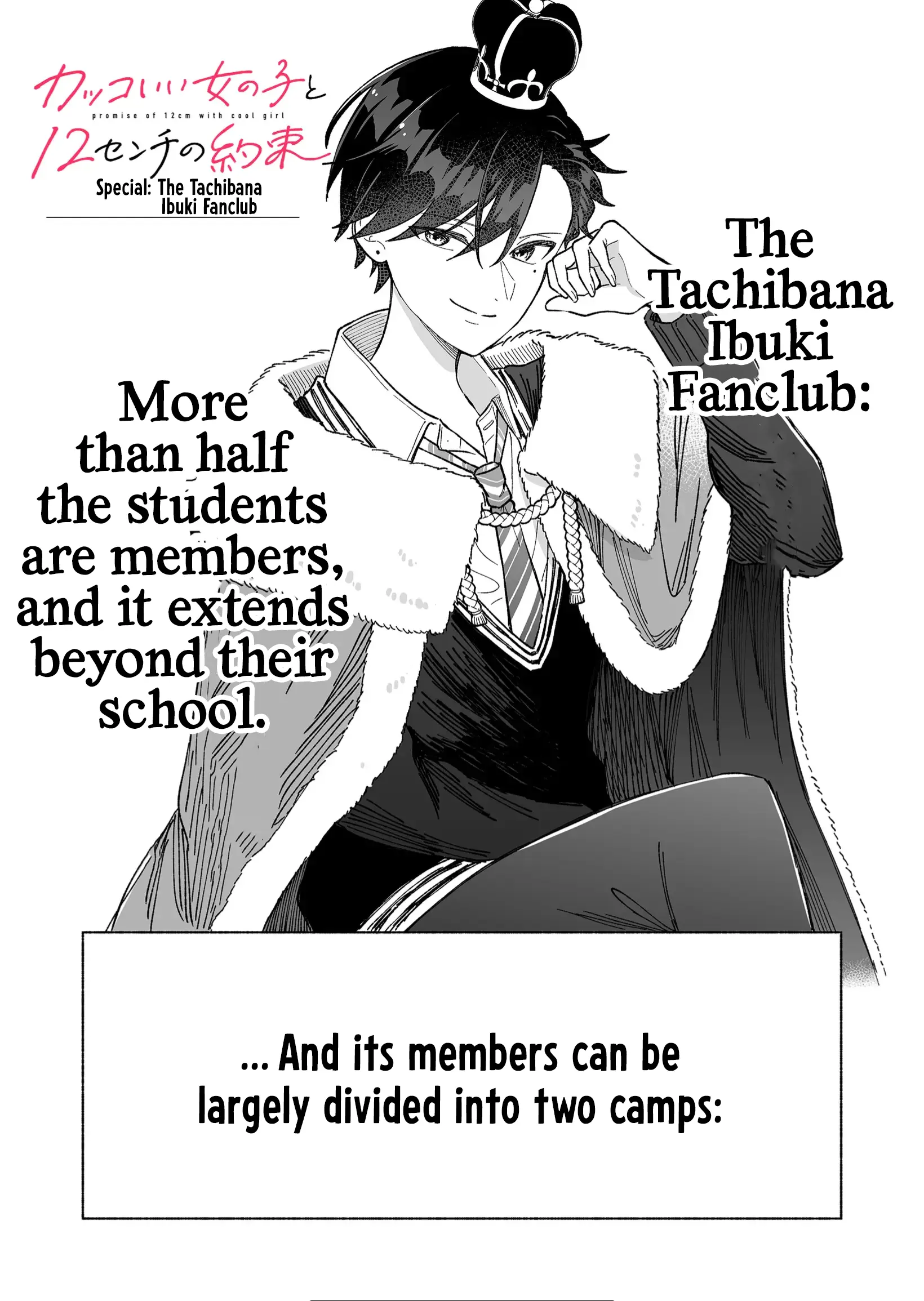 A Cool Girl And A 12Cm Promise - Chapter 21.5: Special: The Tachibana Ibuki Fanclub