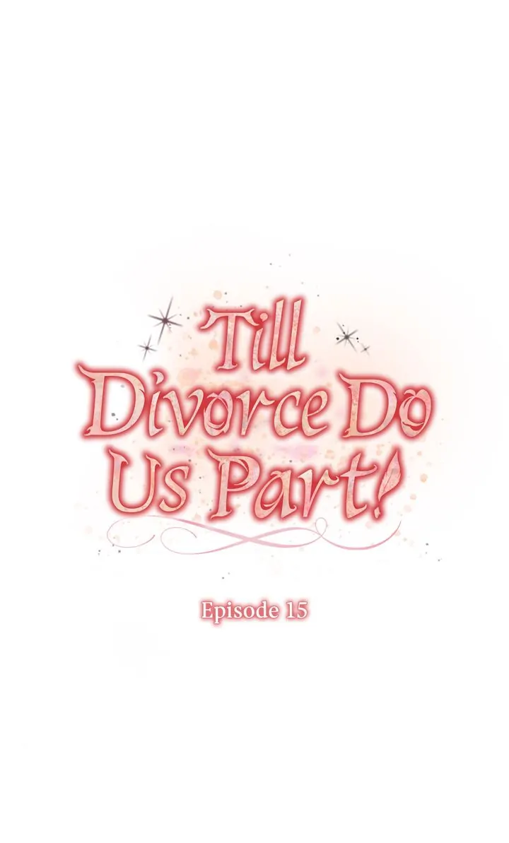 Till Divorce Do Us Part! - Chapter 15