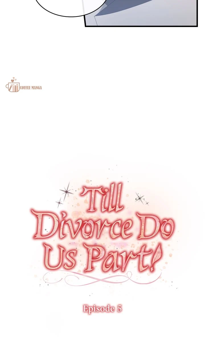 Till Divorce Do Us Part! - Chapter 5