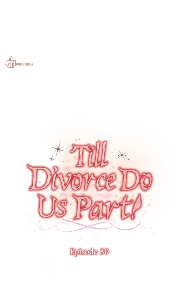 Till Divorce Do Us Part! - Chapter 30