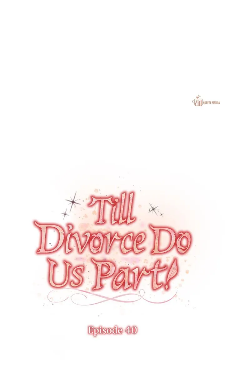 Till Divorce Do Us Part! - Chapter 40