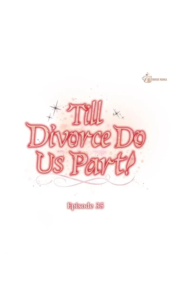 Till Divorce Do Us Part! - Chapter 35