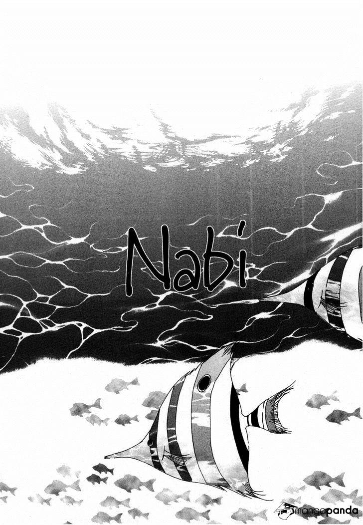 Butterfly - Chapter 43 : Nabi