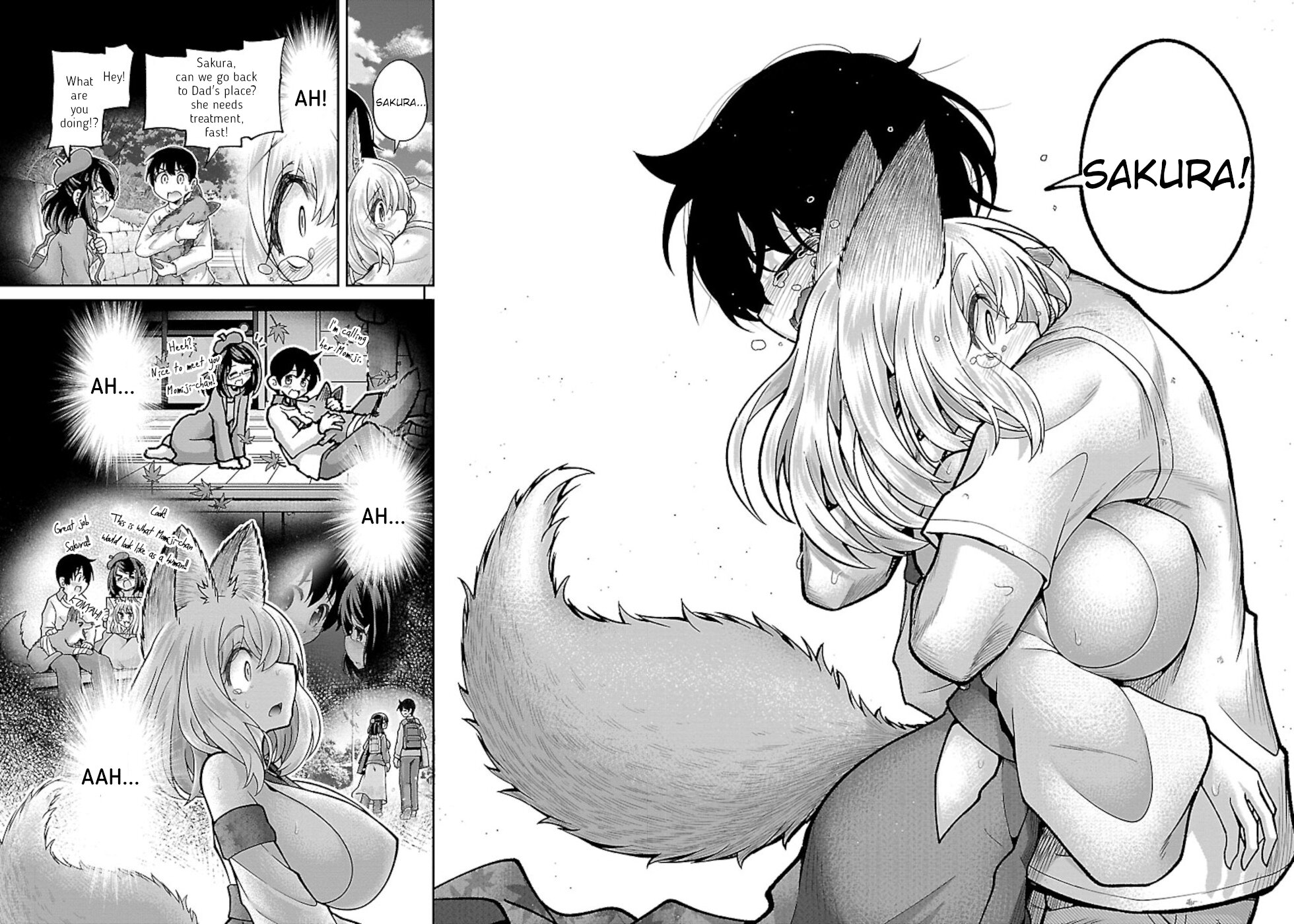 Love Story Of Liar Fox - Vol.1 Chapter 1: Sakura And Momiji