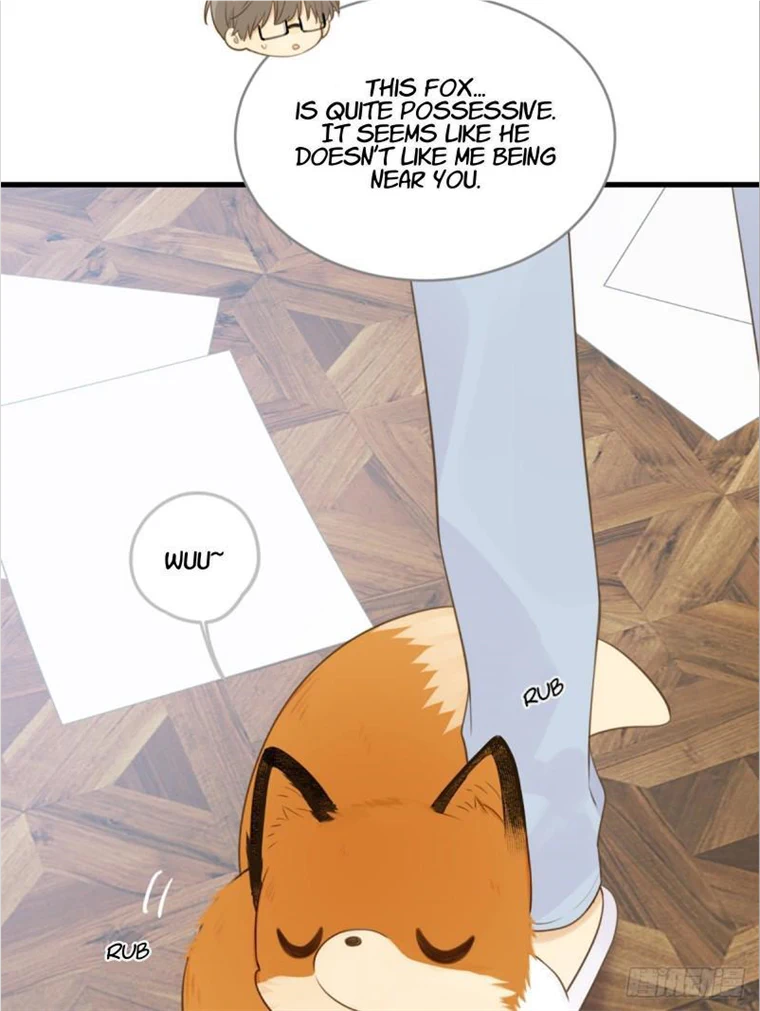 Just Not The Tail! - Chapter 11