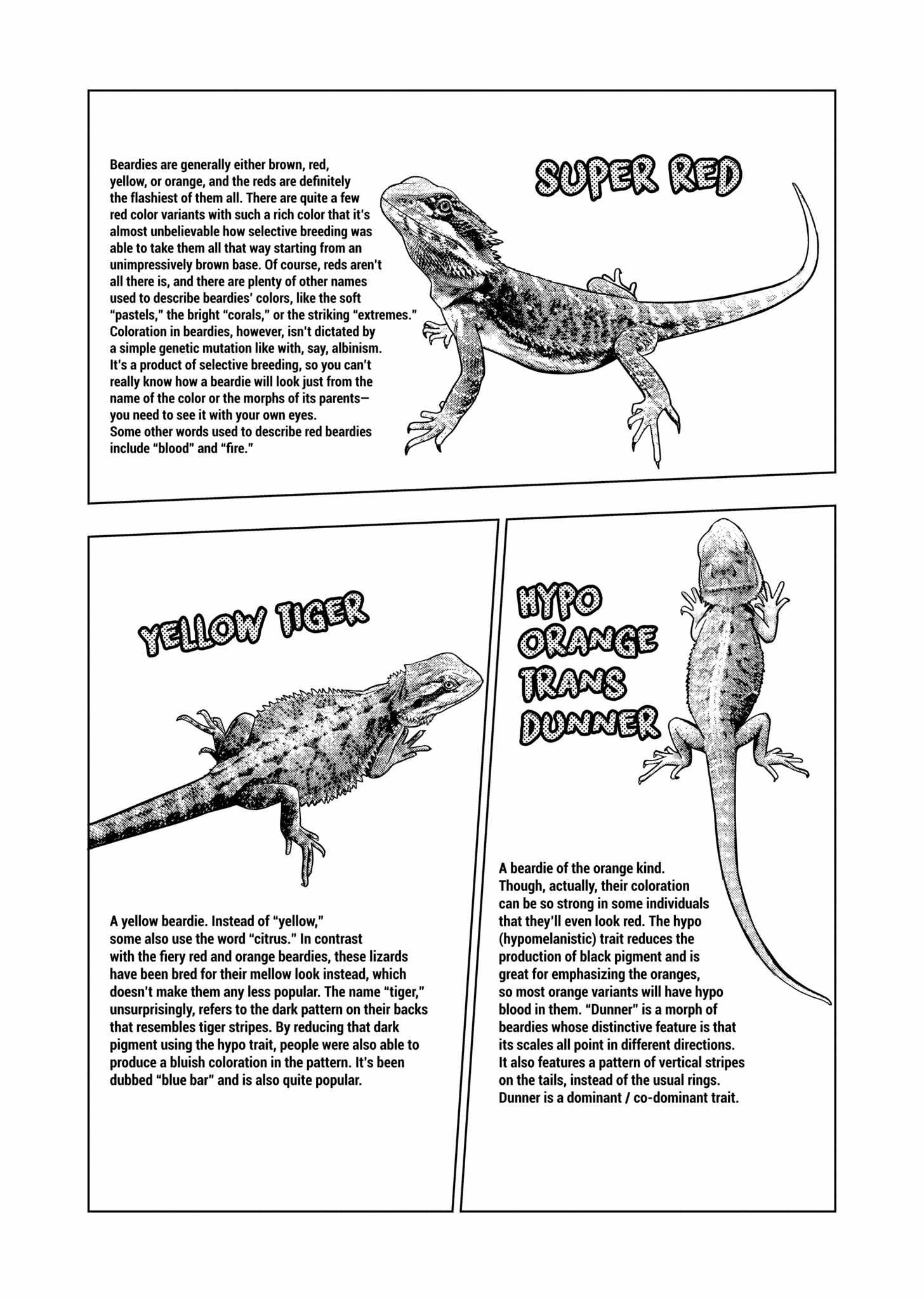 Secret Reptiles - Chapter 131