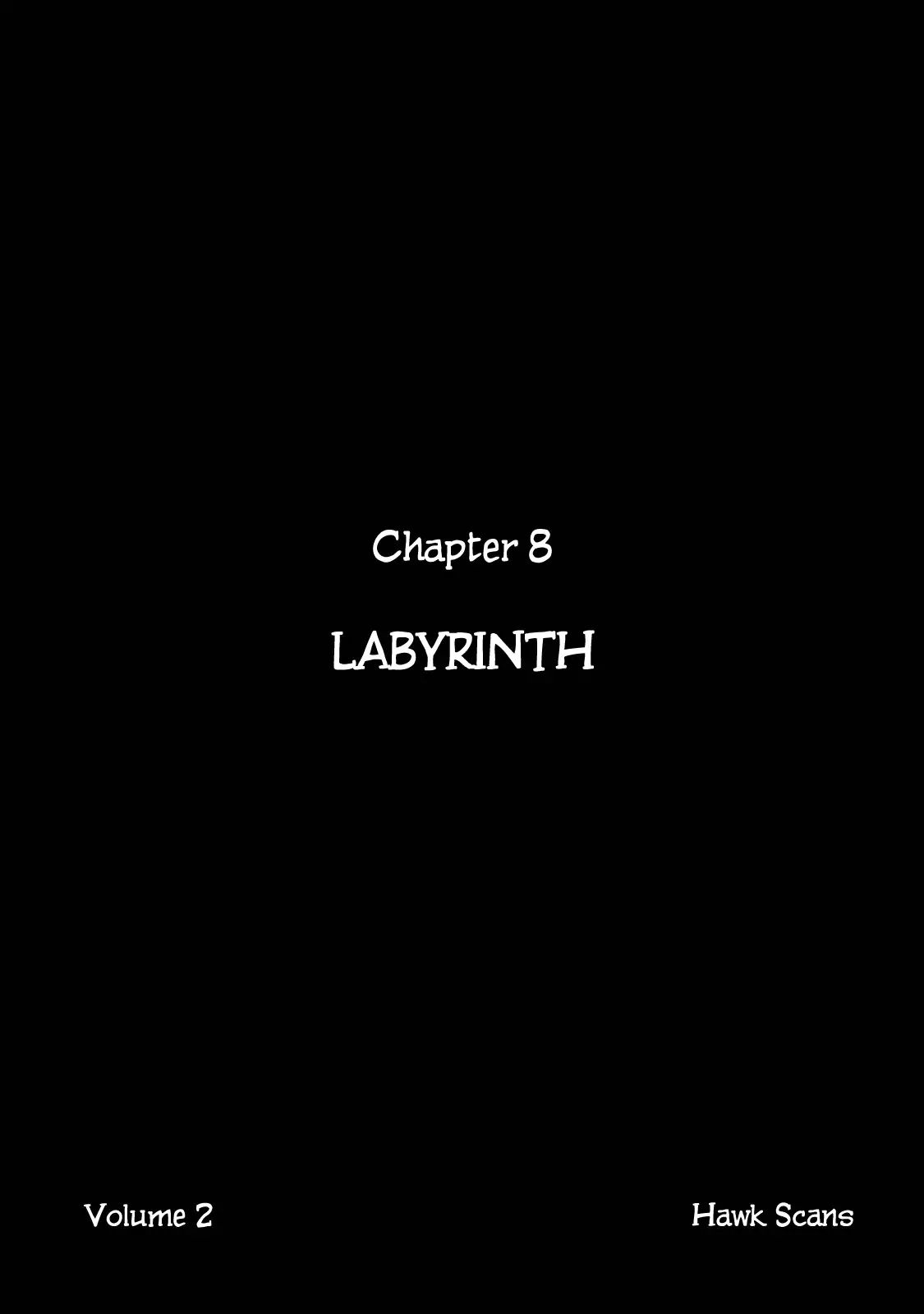 Journey To The Center Of The Earth - Vol.2 Chapter 8: Labyrinth