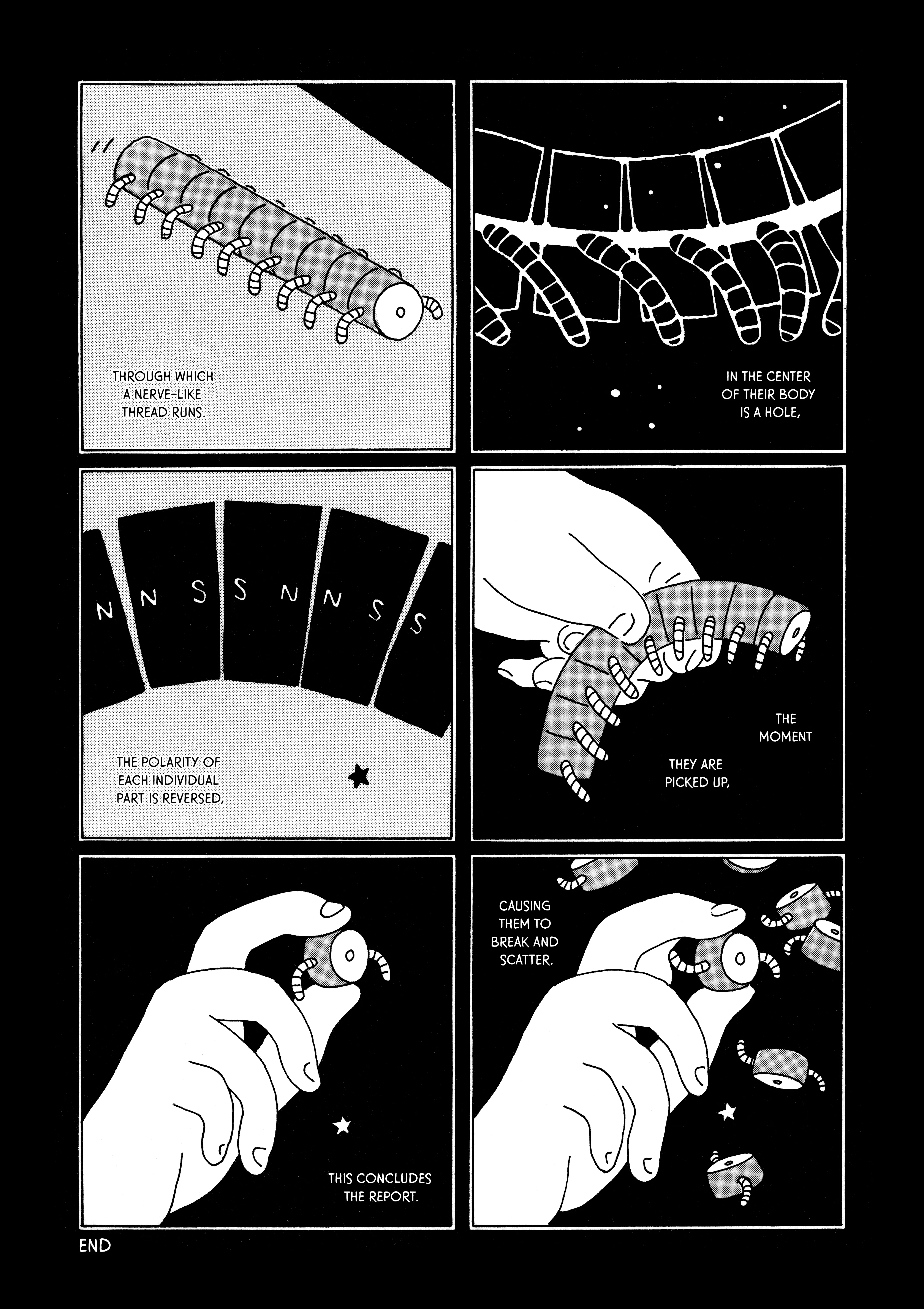 Variant - Chapter 2: Variant No. 2